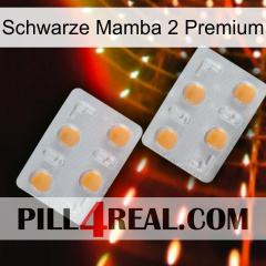 Black Mamba 2 Premium 25